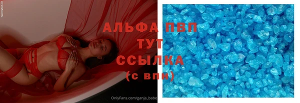 сатива Каменногорск