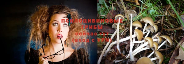 ешки Касимов