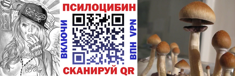 Купить закладки  Елец  Галлюциногенные грибы MAGIC MUSHROOMS 