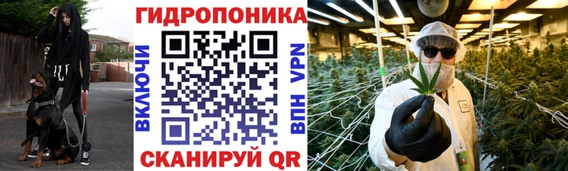 Купить  Елец  Бошки марихуана план 